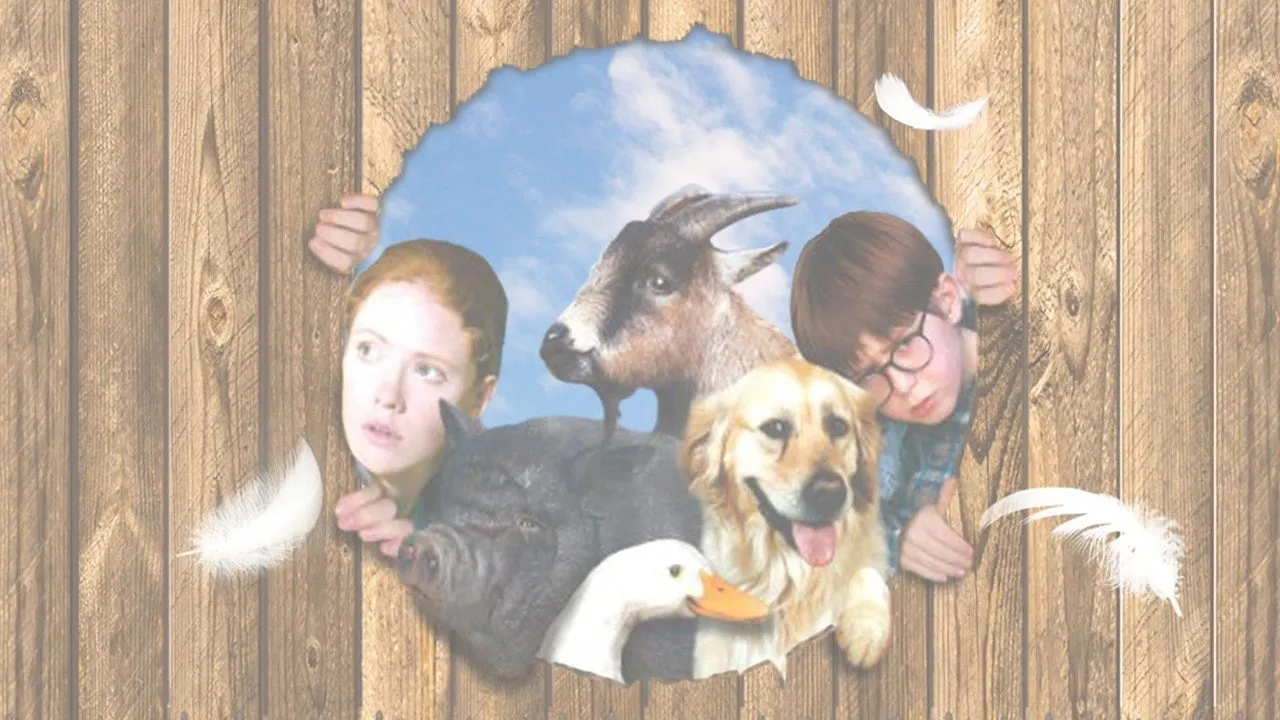 Pets